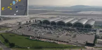 Pistteki ölü tavşan Sabiha Gökçen Havalimanı'nı karıştırdı