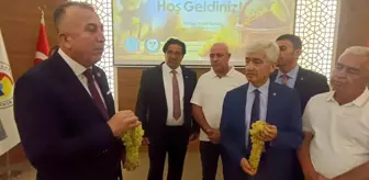 TARİŞ Üzüm Birliği Başkanı: Fiyatlar Yabancı Ülkelerde Pahalı
