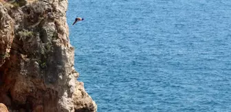 Antalya'da Sıcak Hava ve Tehlikeli Falez Atlayışları