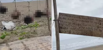 Ülkede şok etkisi yaratan görüntü: İpe asılı 5 insan kafası bulundu