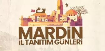 Mardin'in kültür hazinesi İstanbul'a taşınıyor