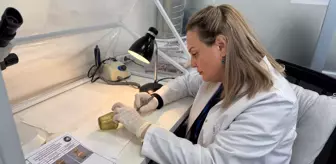 Tarihi eserlere 'hayat veriyorlar'