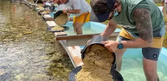 Nehir yatağında ortaya çıkıyor, eline tavasını alan avuç avuç topluyor