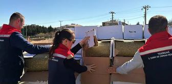 Haber box1