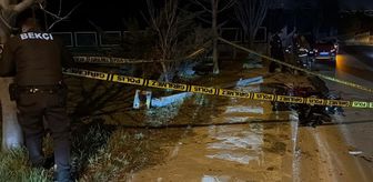 Haber box1