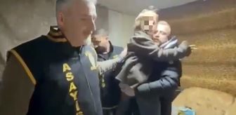 Haber box1