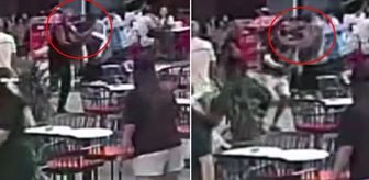 Haber box1