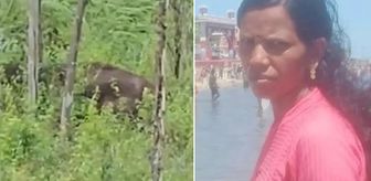 Haber box1