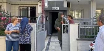 Haber box1