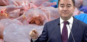 Haber box1
