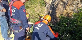 Haber box1