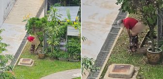 Haber box1