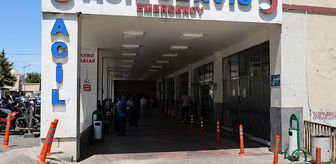 Haber box1
