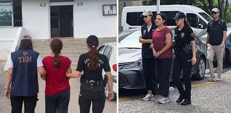 Haber box1