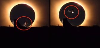 Haber box1