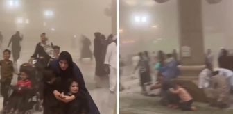 Haber box1