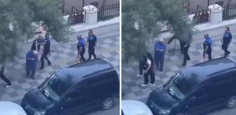 Haber box1