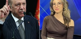 Haber box1
