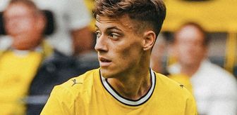 Haber box1