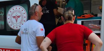 Haber box1