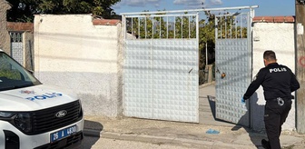 Haber box1