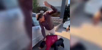 Haber box1