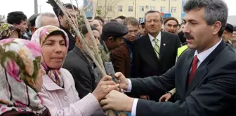 Bahşılı Belediyesi'nden Fidan Dağıtımı Yapıldı