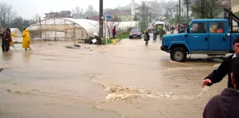 Yalova'da Mahalle ve Seraları Su Bastı