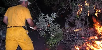 Amasya'da Muhtemel Orman Yangınlarına Karşı Tedbir