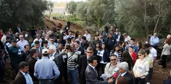 Adana'daki Zeytin Gen Bahçesi Tartışması Bitmiyor