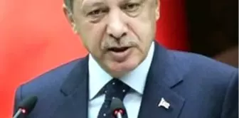 Yüksek Yargı'dan Erdoğan'a Ziyaret