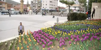 Yozgat'ta Park ve Bahçeler Rengarenk Çiçek Açtı