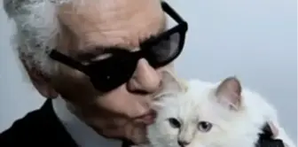 Dünyanın En Şanslı Kedisi: Choupette