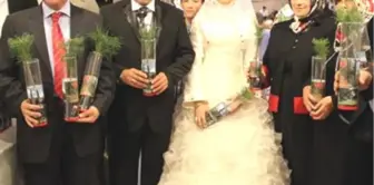 Düğünde 'Nikah Şekeri' Yerine 'Çam Fidanı' Dağıtıldı