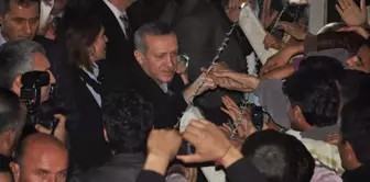 Başbakan Erdoğan, Akçakale'de