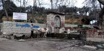 Tarihi Palata Çeşmesine Restorasyon İzni Çıktı