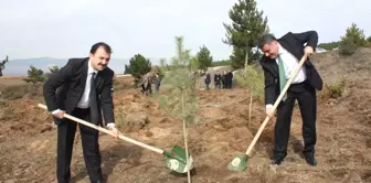 Sağlık Çalışanları Fidan Dikti