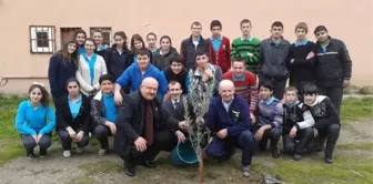 Şarköy Lisesi Öğrencileri Zeytin Dikti