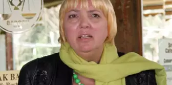 Claudia Roth: Bu Konuda Çok Öfkeliyiz