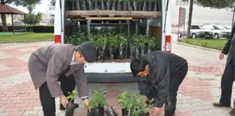 Oğuz; Isparta Gülü Topkapı Sarayını İhya Edecek