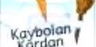 Kaybolan Kardan Adam Kitabı