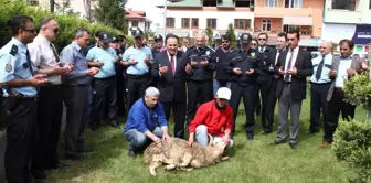 Sapanca Emniyet Müdürlüğü Kurban Kesti