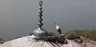 Leylekler Bu Köyü Çok Sevdi