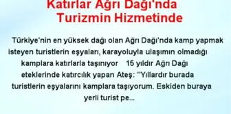 Katırlar Ağrı Dağı'nda Turizmin Hizmetinde