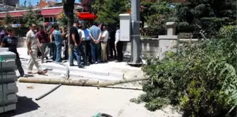 Burdur'da Kaldırım Çalışmasındaki Ağaç Kesimine Tepki