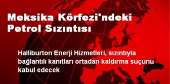 Meksika Körfezi'ndeki Petrol Sızıntısı