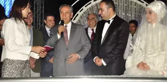 Bülent Arınç: Başbakan'ın 3 Çocuk Tavsiyesine Katılmıyorum