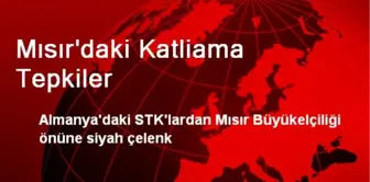 Mısır'daki Katliama Tepkiler