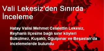 Vali Lekesiz'den Sınırda İnceleme