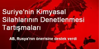 Suriye'nin Kimyasal Silahlarının Denetlenmesi Tartışmaları